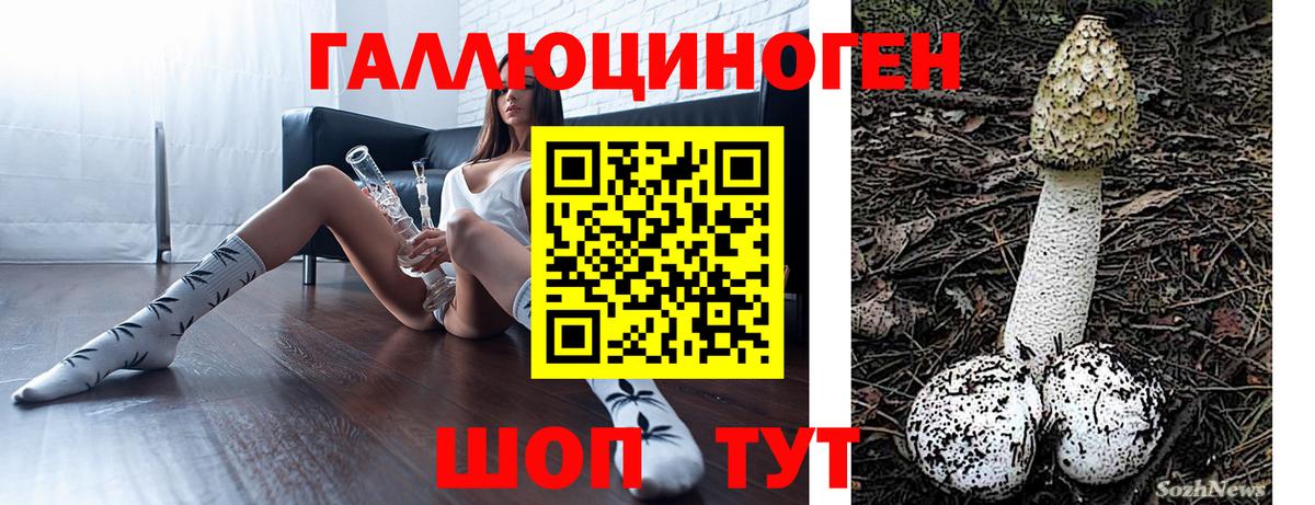 Галлюциногенные грибы ЛСД  наркотики  Карачаевск  Вход с VPN 