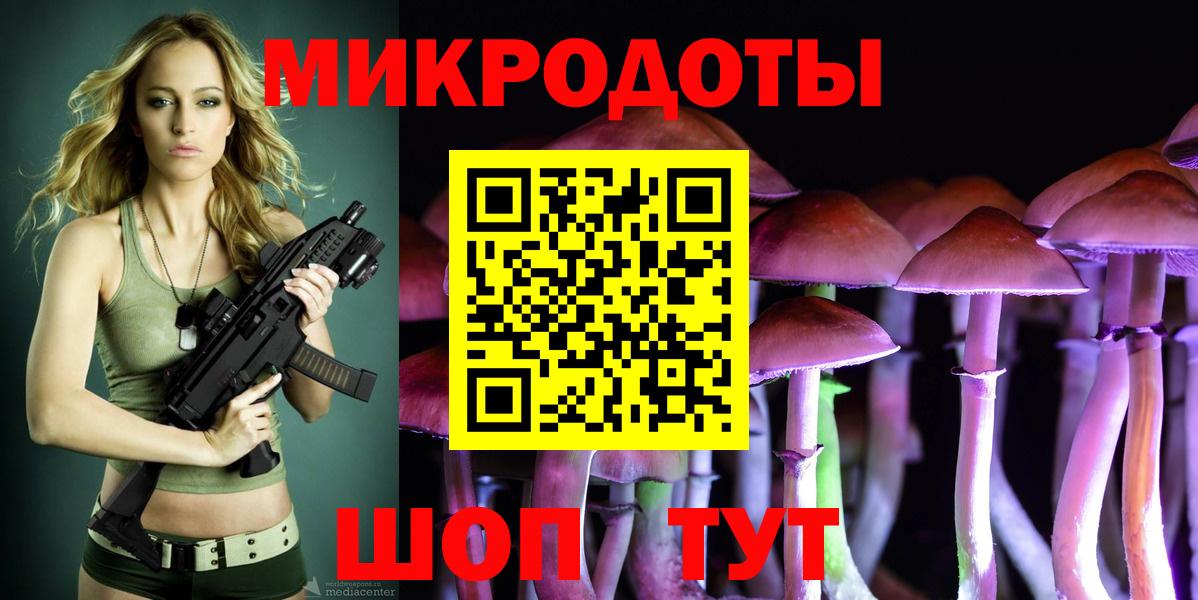 Псилоцибиновые грибы мухоморы Карачаевск